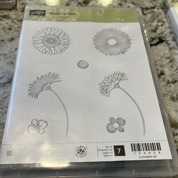 Stampin Up 4 Sets - Watercolor Wings, silhouettes, Smile, Wild about flowers - Picture 4 of 9